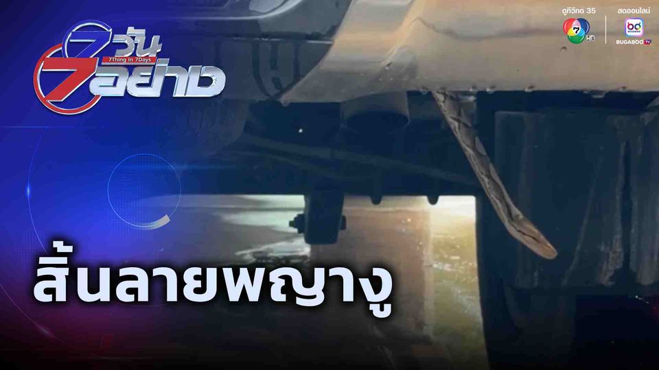 7 วัน 7 อย่าง : สิ้นลายพญางู