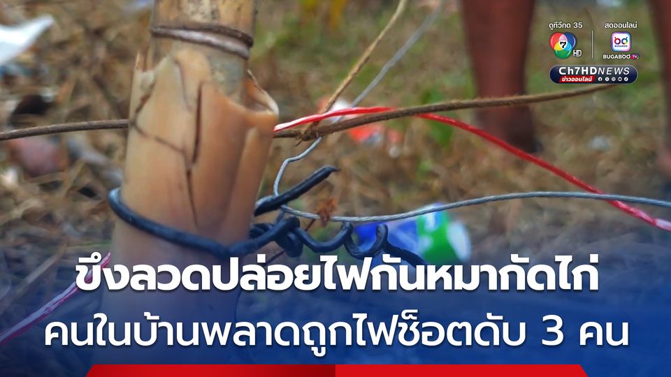 ขึงลวดปล่อยไฟฟ้ากันหมามากัดไก่ สุดท้ายถูกไฟช็อตดับยกครัว 3 ชีวิต