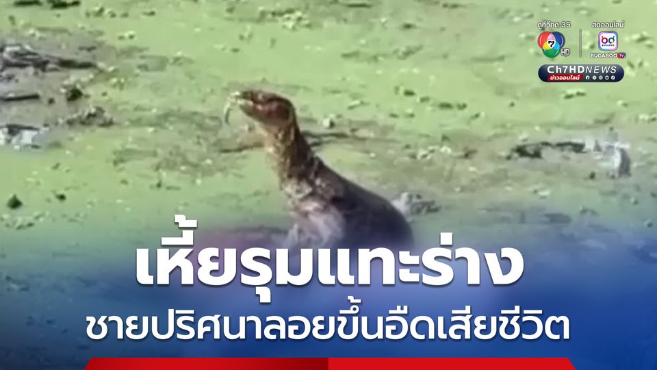 สุดสลด ! ร่างชายปริศนาลอยขึ้นอืดเสียชีวิตในสระน้ำ ถูกตัวเหี้ย 2 ตัว รุมกัดแทะ