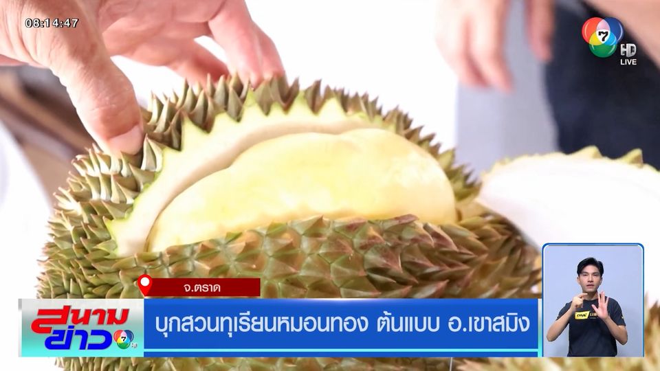 บุกสวนทุเรียนหมอนทอง ต้นแบบ อ.เขาสมิง