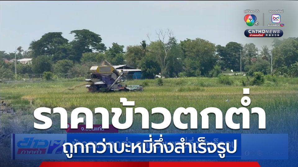 ข้าวราคาตกต่ำ ถูกกว่าบะหมี่กึ่งสำเร็จรูป