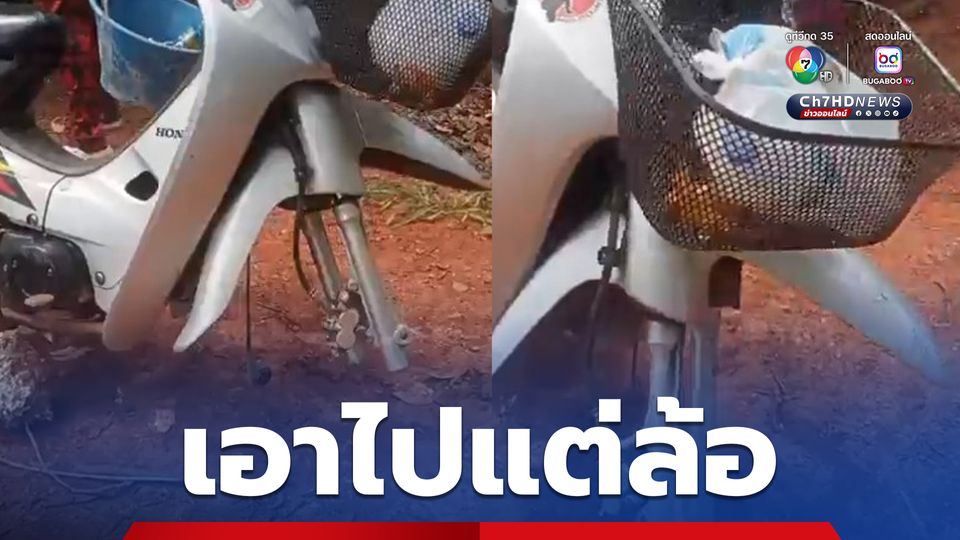 สาวสุดงง มาเก็บเห็ด ล้อรถหาย 1 ล้อ