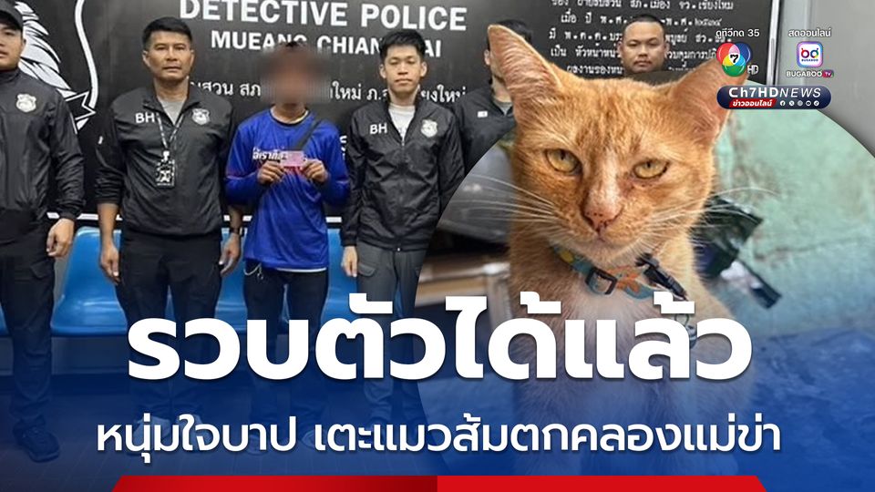 ตำรวจรวบได้แล้ว หนุ่มใจบาป เตะแมวส้มตกคลองแม่ข่า