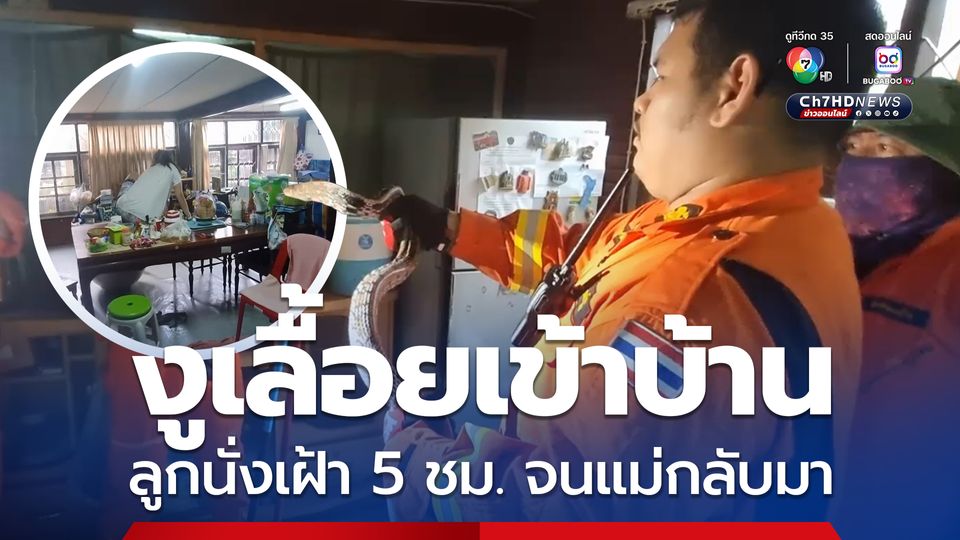 งูเลื้อยเข้าบ้าน ลูกสาวนั่งเฝ้างูนาน 5 ชม. จนแม่กลับมาบ้าน ก่อนแจ้งเจ้าหน้าที่มาจับไป