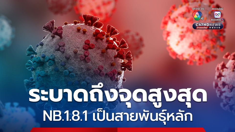 หมอยง เผยโควิด NB.1.8.1 กลายเป็นสายพันธุ์หลักในประเทศ