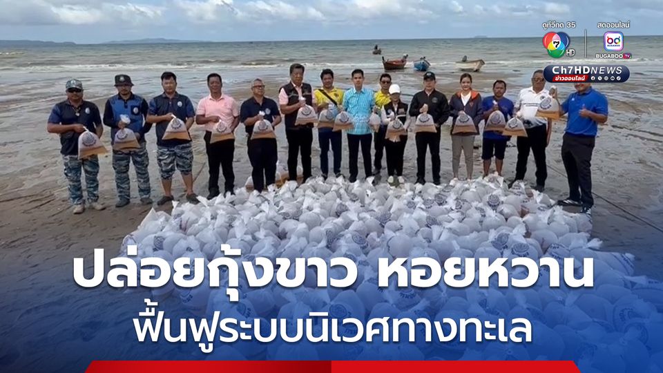 เมืองพัทยาร่วมกรมประมง ปล่อยพันธุ์กุ้งขาว หอยหวาน 500,000 ตัว สู่ทะเลหาดจอมเทียน เพื่อฟื้นฟูระบบนิเวศทางทะเล