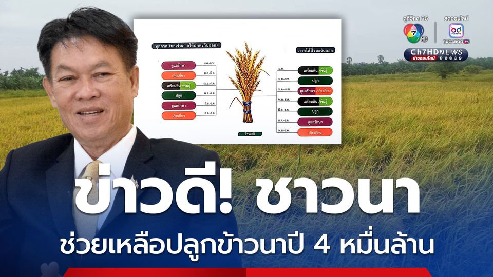 มาตรการข้าวนาปี 68/69 พยุงราคา-ลดต้นทุนผลิต