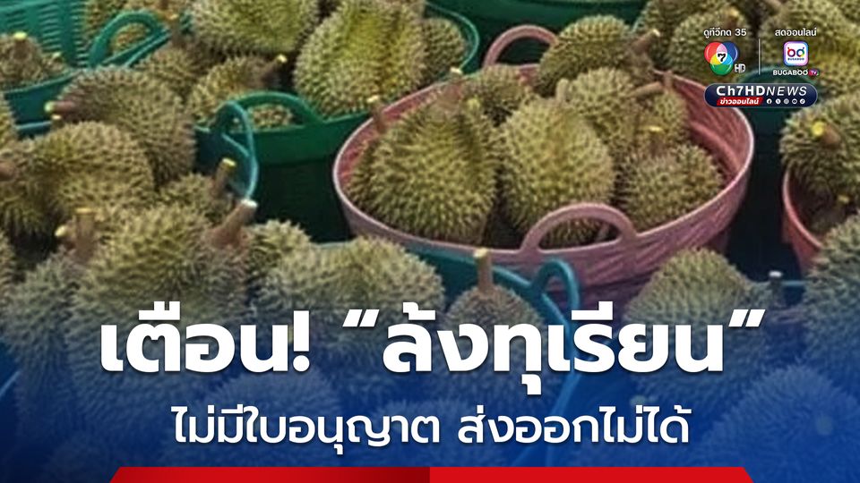 มกอช. บังคับใช้มาตรฐานใหม่ “ล้งทุเรียน” ต้องมีใบอนุญาต เริ่ม 10 ก.ค.นี้