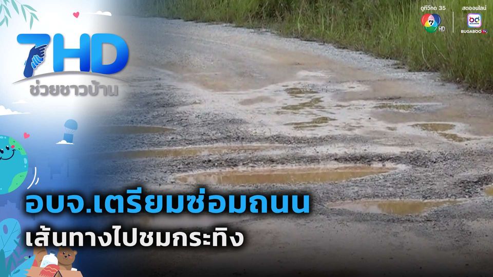 ข่าวดี อบจ.เตรียมซ่อมถนน เส้นทางไปชมกระทิง