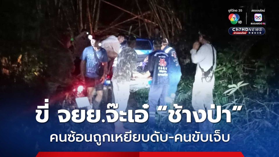 ช้างป่าเข้าทำร้ายชาวบ้านที่ขี่รถจักรยานยนต์ ทำให้คนขับบาดเจ็บ ส่วนคนซ่อนถูกเหยียบเสียชีวิต