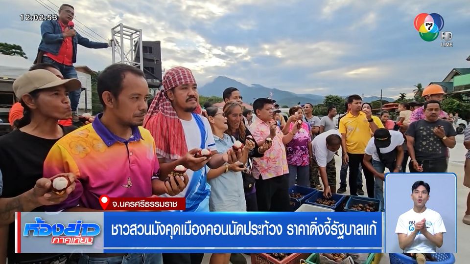 ชาวสวนมังคุดเมืองคอนนัดประท้วง ราคาดิ่งจี้รัฐบาลแก้