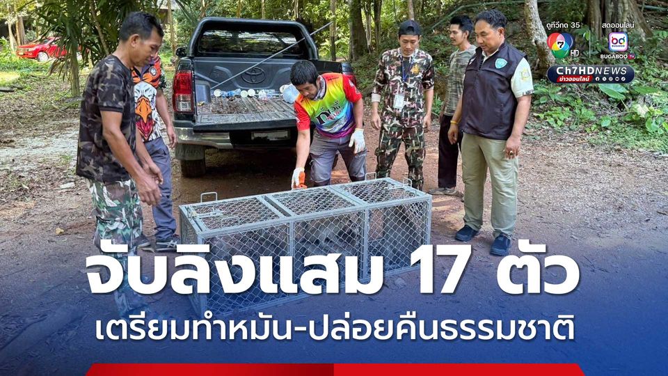ดักจับ “ลิงแสม” จำนวน 17 ตัว เตรียมทำหมันก่อนปล่อยคืนธรรมชาติ 