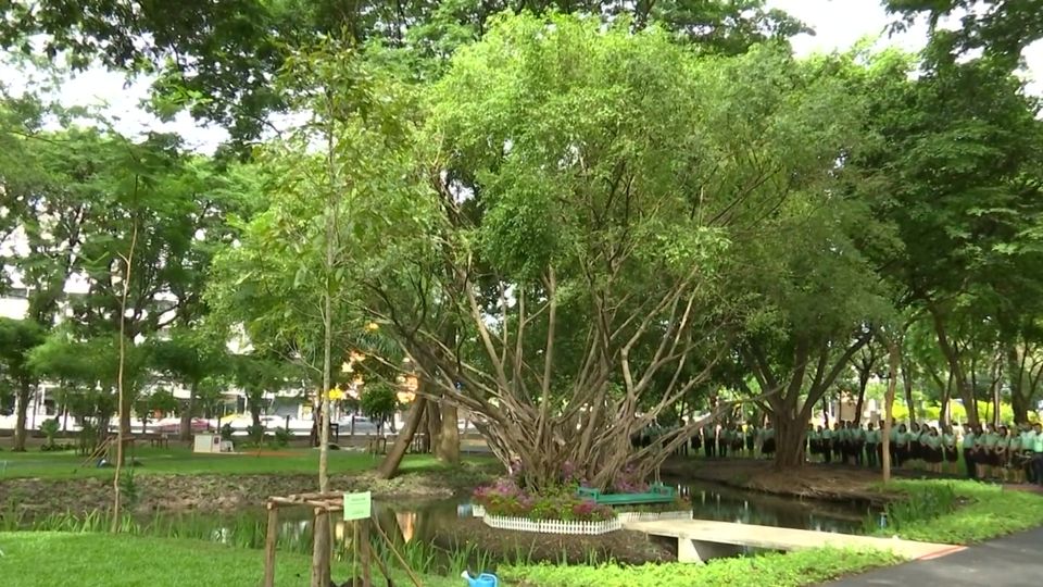 สมเด็จพระกนิษฐาธิราชเจ้า กรมสมเด็จพระเทพรัตนราชสุดา ฯ สยามบรมราชกุมารี ทรงปฏิบัติพระราชกรณียกิจ ดังนี้