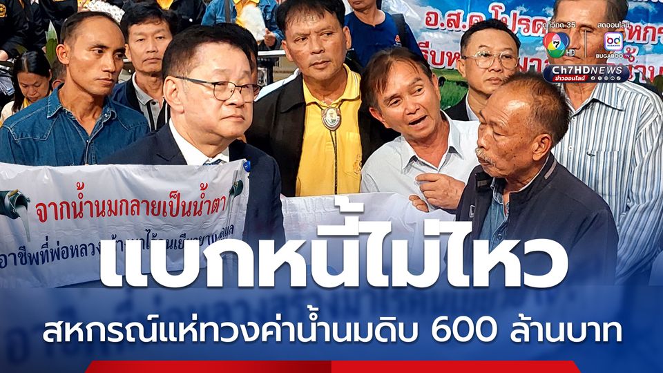 ไม่อยากขายโคใช้หนี้! สหกรณ์แห่ร้องรัฐบาล เร่งทวงเงิน อ.ส.ค. ค้างชำระค่าน้ำนมดิบกว่า 600 ล้านบาท