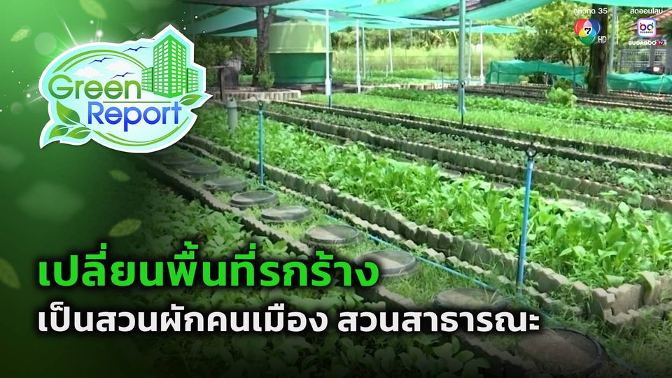 Green Report : เปลี่ยนพื้นที่รกร้าง เป็นสวนผักคนเมือง