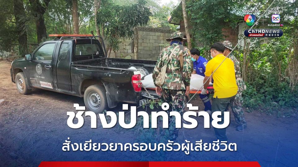 อธิบดีกรมอุทยานฯ สั่งเยียวยาครอบครัวผู้เสียชีวิตจากเหตุช้างป่าทำร้าย