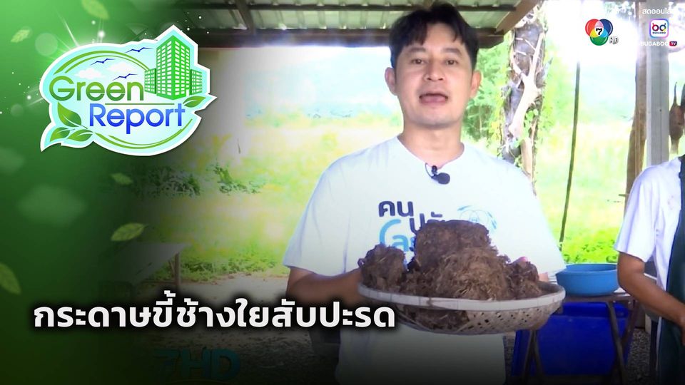 Green Report : กระดาษขี้ช้างใยสับปะรด