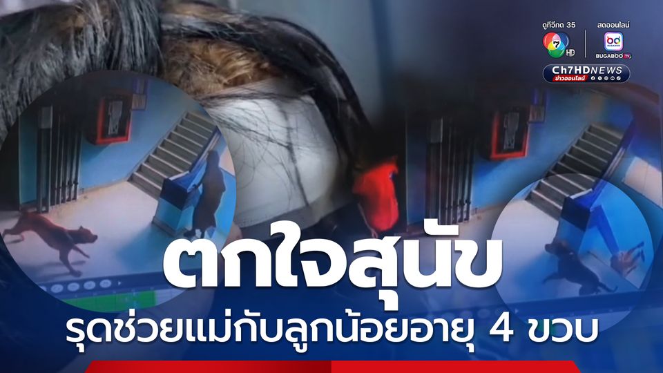 ตกใจสุนัข ยายหงายหลังตกบันได 10 ขั้น