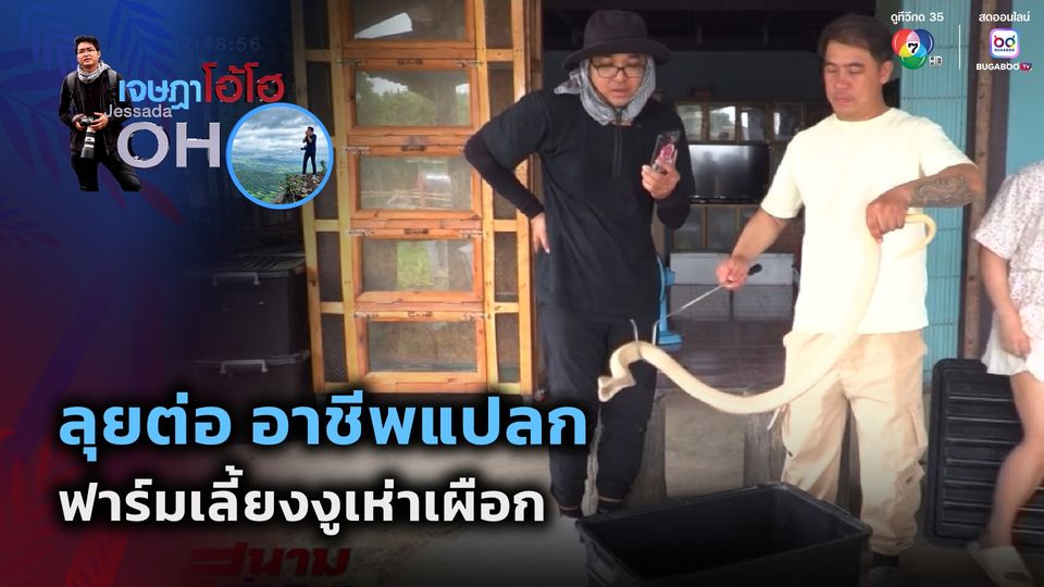 เจษฎาโอ้โฮ : ลุยต่อ อาชีพแปลก ฟาร์มเลี้ยงงูเห่าเผือก