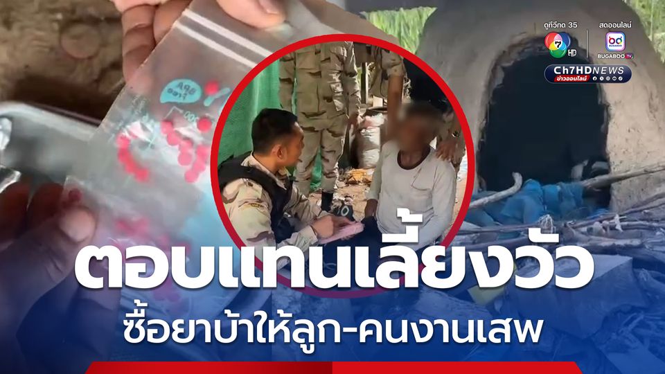 รวบ! พ่อซื้อยาบ้าให้ลูก-คนงานเสพ ตอบแทนเลี้ยงวัว