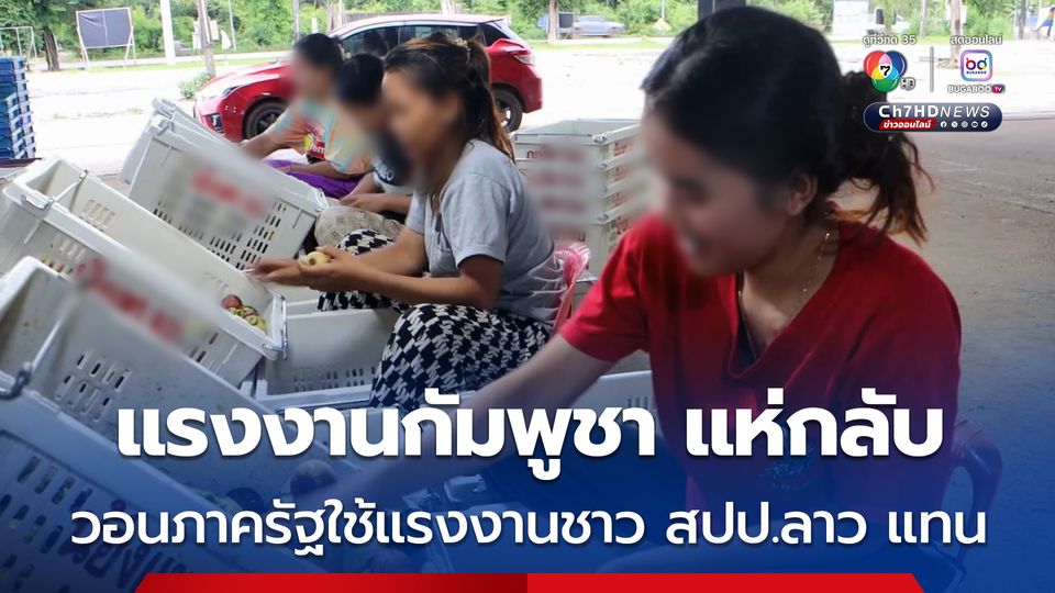 แรงงานกัมพูชาแห่กลับ กระทบภาคเกษตร ผู้ประกอบการ เกษตรกร วอนภาครัฐแก้ปัญหาใช้แรงงานชาว สปป.ลาวแทน