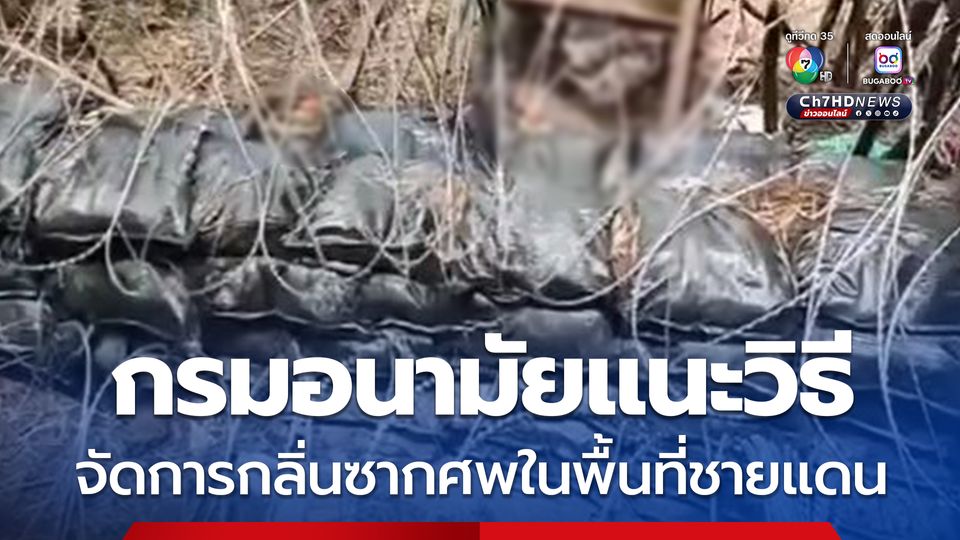 กรมอนามัยแนะวิธีจัดการกลิ่นซากศพชายแดน ปูนขาว-หน้ากาก N95