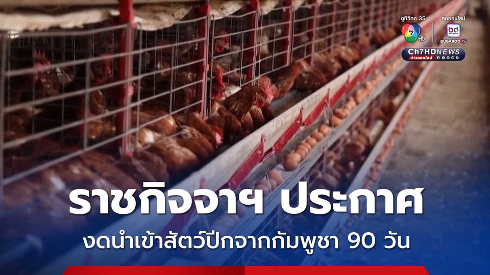 ไทย ชะลอนำเข้า “สัตว์ปีก” จากกัมพูชา 90 วัน หลังพบไข้หวัดนก H5N1 ระบาด