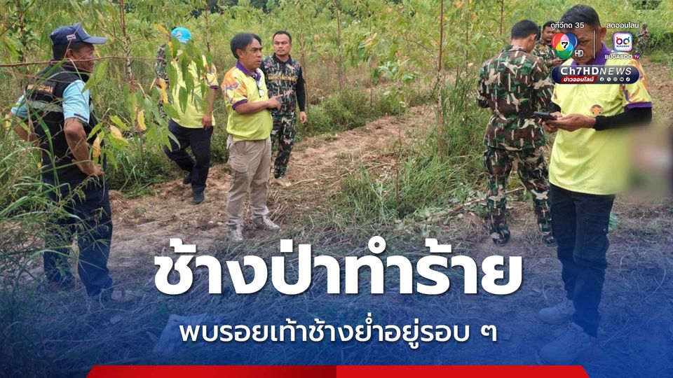 ช้างป่าทำร้ายชาวบ้าน นอกพื้นที่ป่าเขาอ่างฤาไน