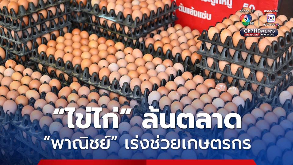 “พาณิชย์” เร่งระบายไข่ไก่ ช่วยเกษตรกร หลังพบปริมาณออกสู่ตลาด เกินความต้องการมากกว่า 2 ล้านฟองต่อวัน