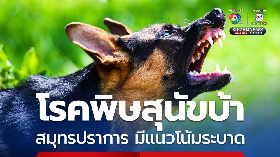 สธ.สั่งการรับมือโรคพิษสุนัขบ้า สมุทรปราการ