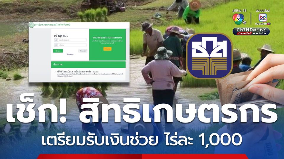 ชาวนาเช็ก! สิทธิเกษตรกรล่าสุด เตรียมรับเงินช่วย ไร่ละ 1,000