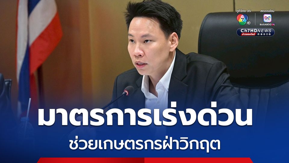 ประกาศมาตรการเร่งด่วน ดึง สหกรณ์ - โรงงานอาหารสัตว์ รับซื้อข้าวโพด 9 บาทต่อกิโล