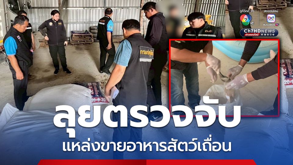 ปศุสัตว์ลุยตรวจจับแหล่งขายอาหารสัตว์เถื่อนใน จ.สุโขทัย  