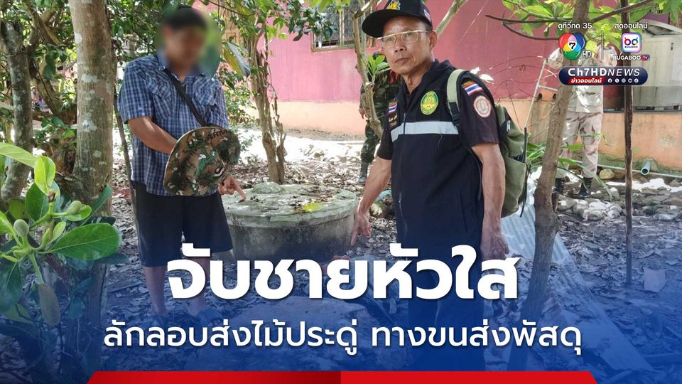 จับชายหัวใส ลักลอบส่งไม้ประดู่ทางขนส่งพัสดุ ใน อ.ปาย จ.แม่ฮ่องสอน พนักงานเห็นผิดสังเกตแจ้งเจ้าหน้าที่รวบทันควัน