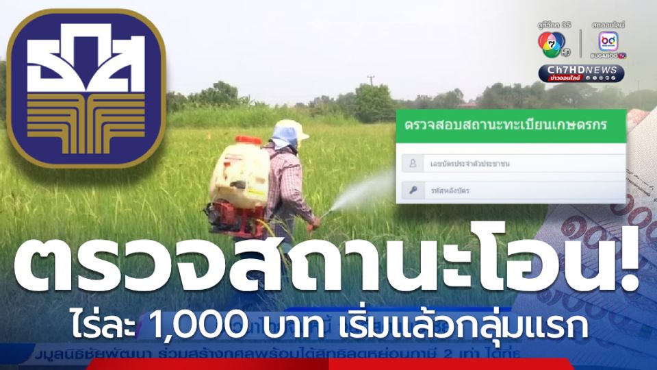 ตรวจสอบสถานะการโอน! ไร่ละ 1,000 บาท เริ่มแล้ว ช่วยเกษตรกร