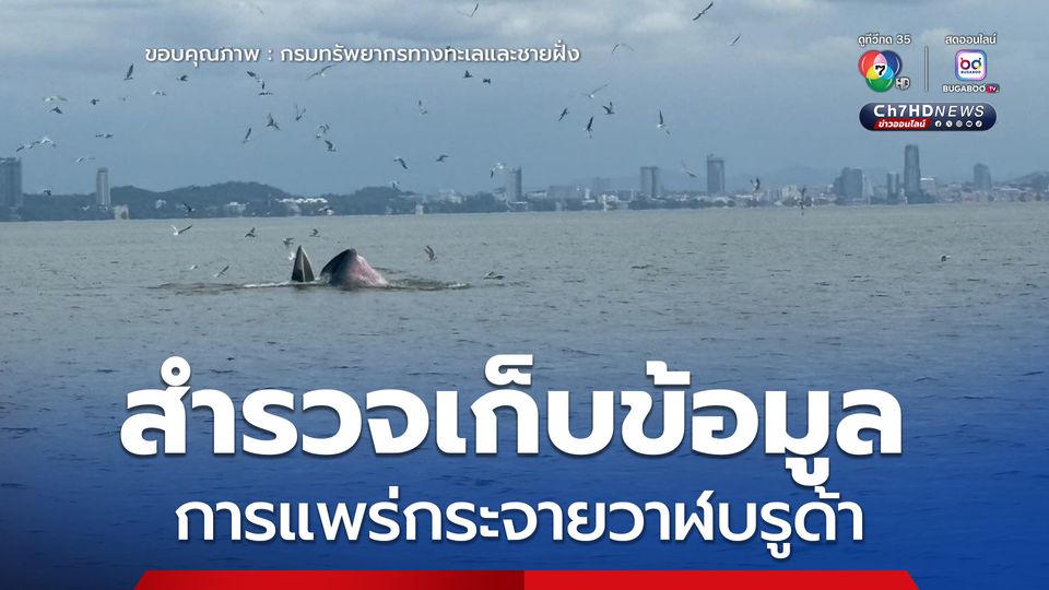สทช.2 ลงพื้นที่ที่สำรวจเพื่อเก็บข้อมูลจำนวนประชากร และการแพร่กระจายวาฬบรูด้า