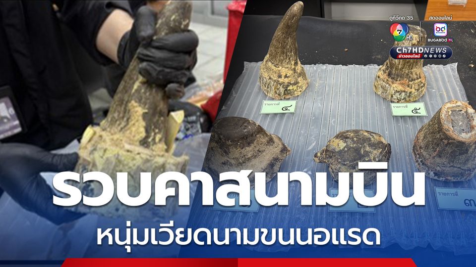 ศุลกากรรวบหนุ่มเวียดนามคาสนามบินสุวรรณภูมิ ลอบขนนอแรด มูลค่า 6.9 ล้านบาท