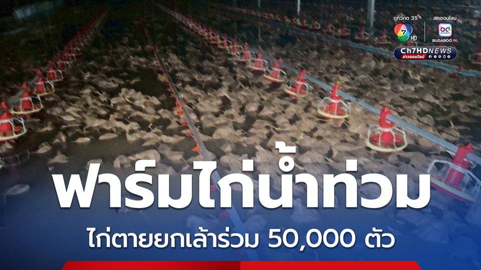 ระยองฝนตกหนักส่งผลให้ในหลายพื้นที่มีน้ำท่วม รวมถึงฟาร์มไก่น้ำถูกท่วม ส่งผลให้ไก่ตายยกเล้าร่วม 50,000 ตัว