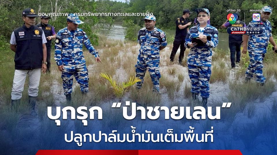 เร่งหาตัวคนผิด ! บุกรุกพื้นที่ “ป่าชายเลน” ปลูกปาล์มน้ำมัน ในท้องที่ ต.บ่อหิน อ.สิเกา จ.ตรัง 