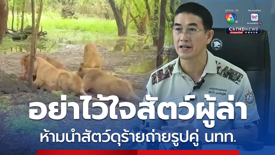 สั่งกักตัว 5 สิงโตทำร้ายคนเลี้ยง ห้ามสวนสัตว์นำสัตว์ดุร้ายถ่ายรูปคู่ นทท.