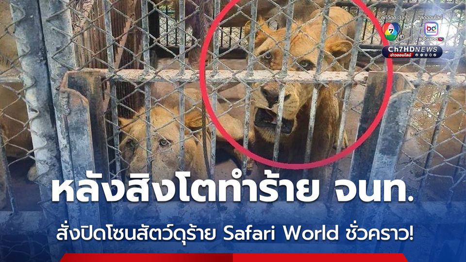กรมอุทยานฯ สั่งปิดโซนสัตว์ดุร้าย Safari World ชั่วคราว และปรับปรุงให้ได้ตามมาตรฐานความปลอดภัยและสวัสดิภาพสัตว์