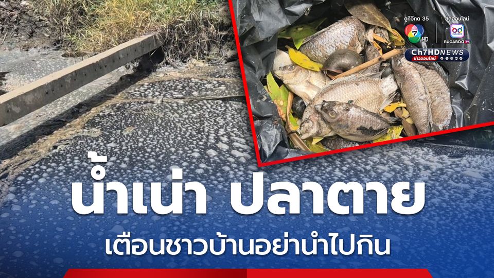 น้ำเน่าปลาตายลอยเต็มคลอง เร่งตรวจสอบมาจากโรงงานหรือไม่
