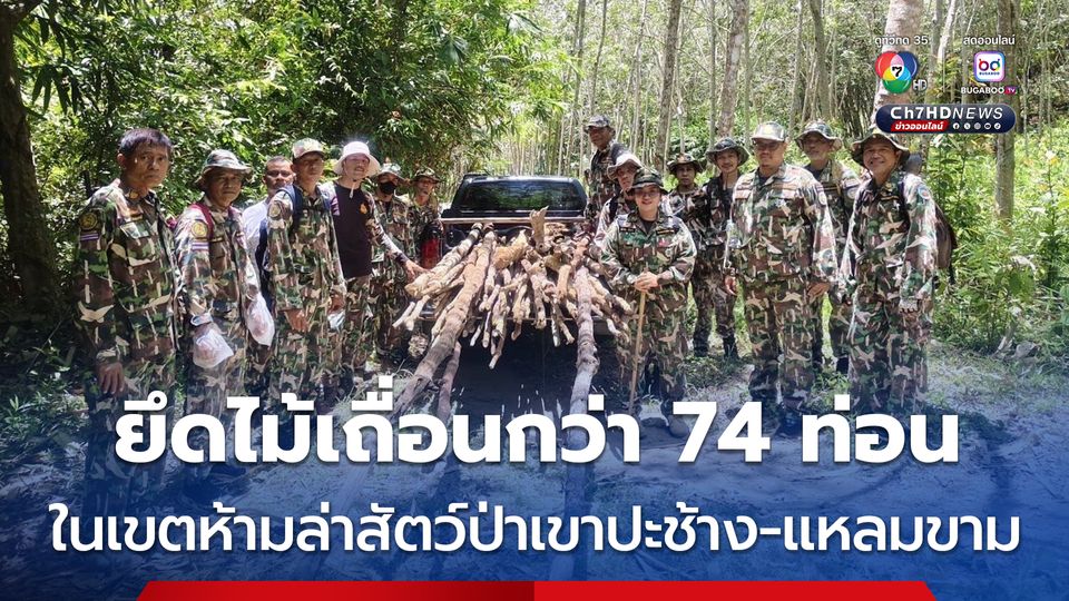 ยึดไม้เถื่อนกว่า 74 ท่อน และพบพื้นที่ป่าอนุรักษ์ถูกบุกรุกแผ้วถางกว่า 3 ไร่