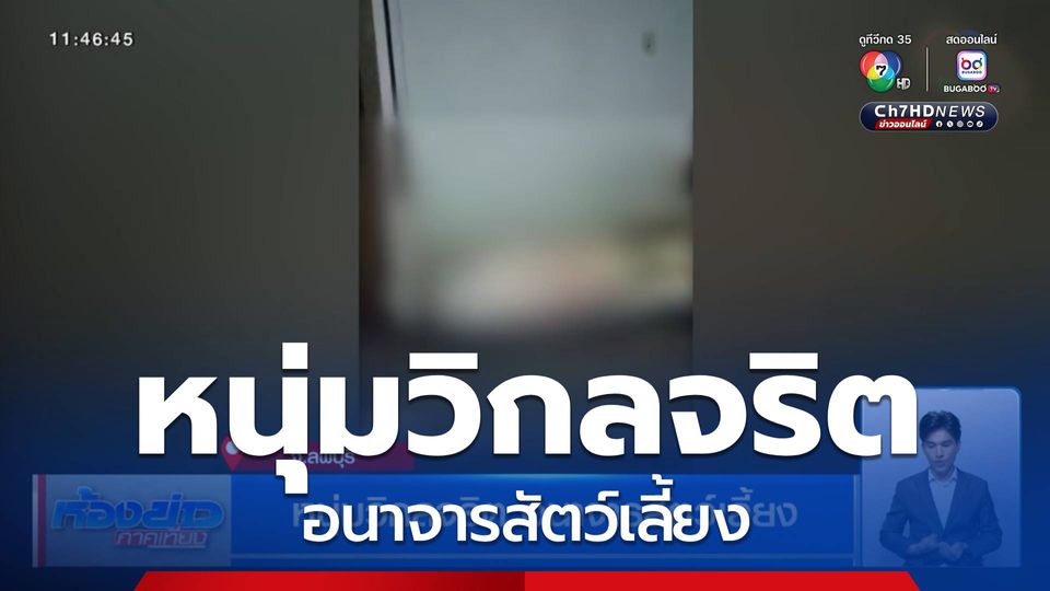 หนุ่มวิกลจริต อนาจารสัตว์เลี้ยง