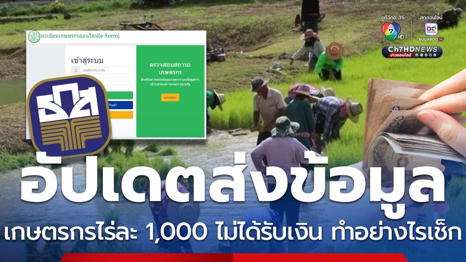 อัปเดตส่งข้อมูลเกษตรกรไร่ละ 1,000 ไม่ได้รับเงิน ทำอย่างไรเช็ก