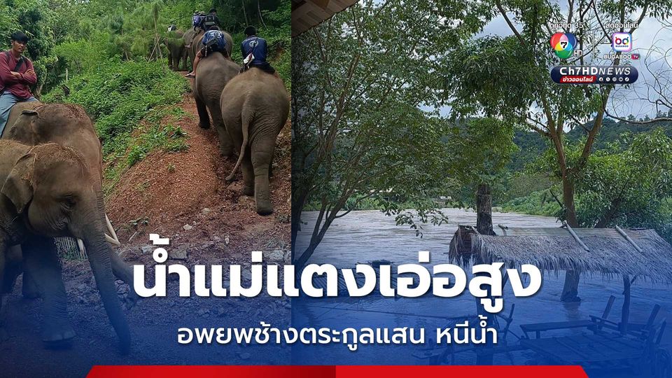 บ้านช้างตระกูลแสน อพยพช้างกว่า 10 เชือก หนีน้ำ