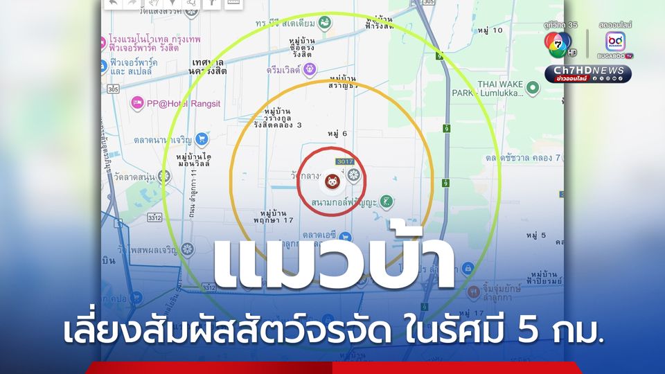 แมวป่วยพิษสุนัขบ้า ประกาศเตือนเฝ้าระวังในรัศมี 5 กม.