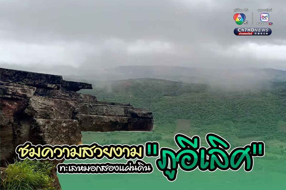 นักท่องเที่ยวแห่ชมความสวยงาม ทะเลหมอกสองแผ่นดิน "ภูอีเลิศ"  