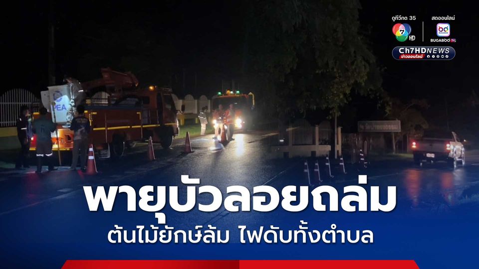 พายุบัวลอยซัดถล่ม จ.ร้อยเอ็ด ต้นไม้ยักษ์ล้มทับสายไฟแรงสูงดับยกตำบล