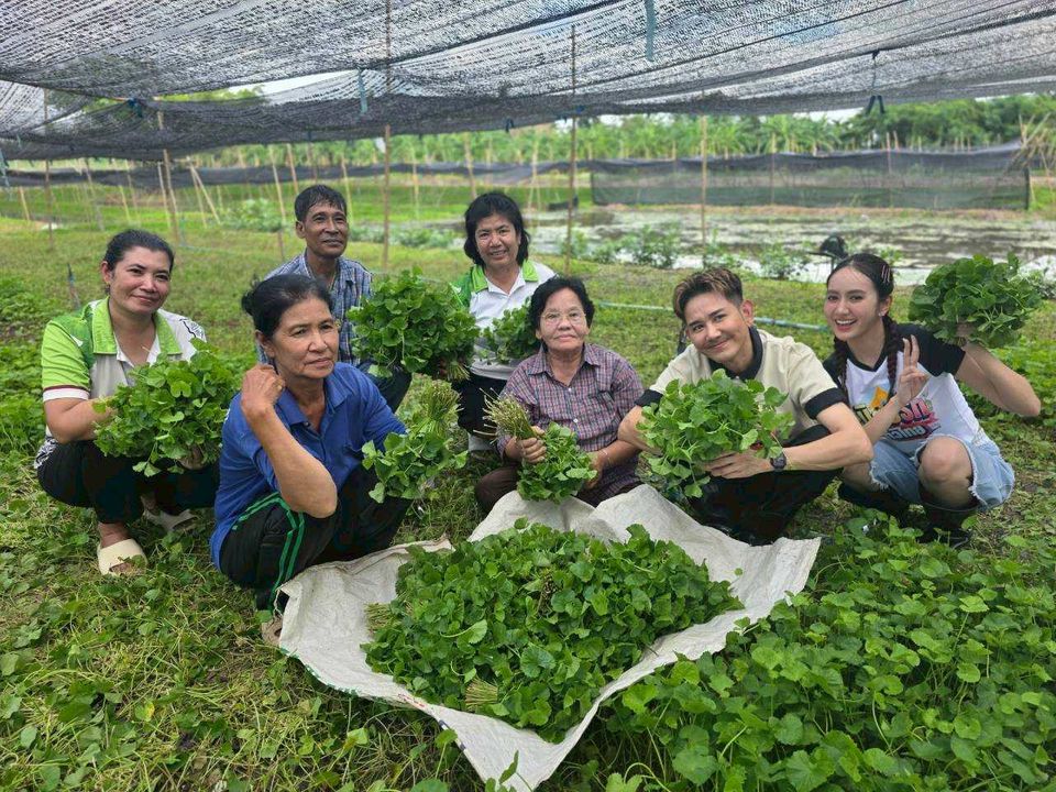 “เอ-แป้ง” บุกชุมชนเกษตรกรบ้านคลองหม่อมแช่ม จ.นนทบุรี ดูแปรรูปพืชท้องถิ่น “ใบบัวบก” สร้างรายได้ใน “มิตรรัก ทั่วไทย”